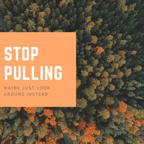 stop-pulling-1