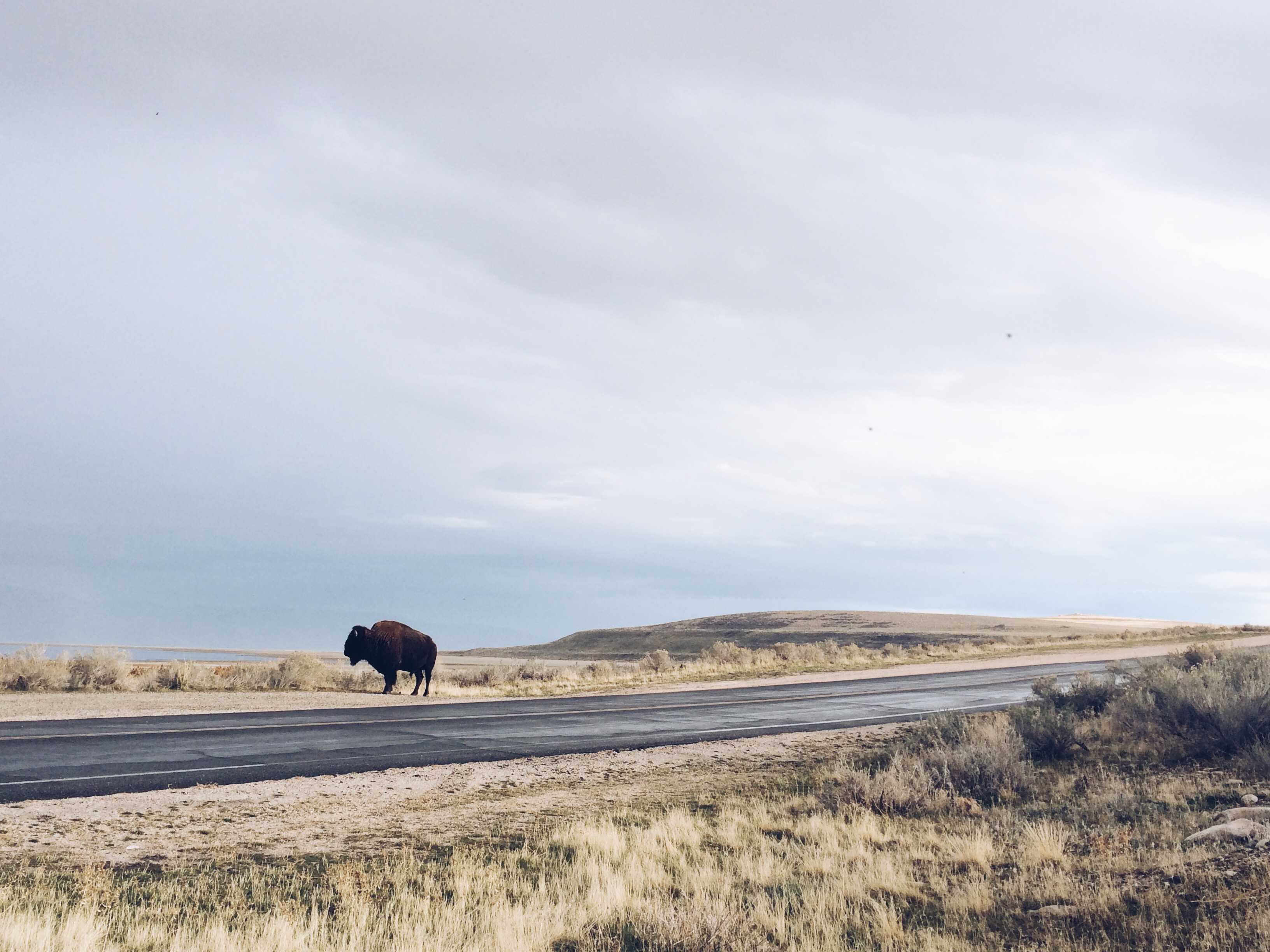 Processed with VSCO with a5 preset