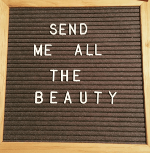 Screen Shot 2018-01-30 at 8.01.32 PM