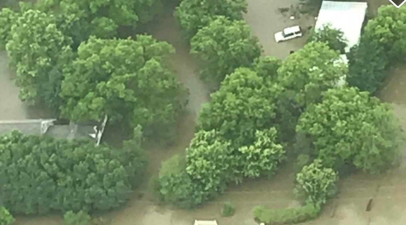 Screen Shot 2019-06-06 at 7.33.07 PM.png